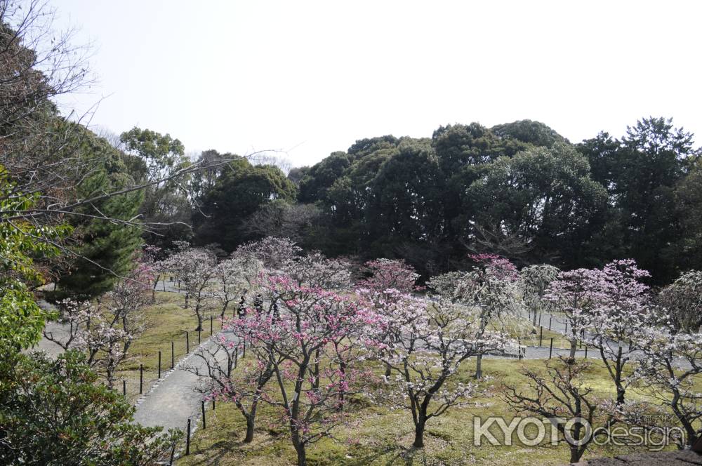 梅林公園４