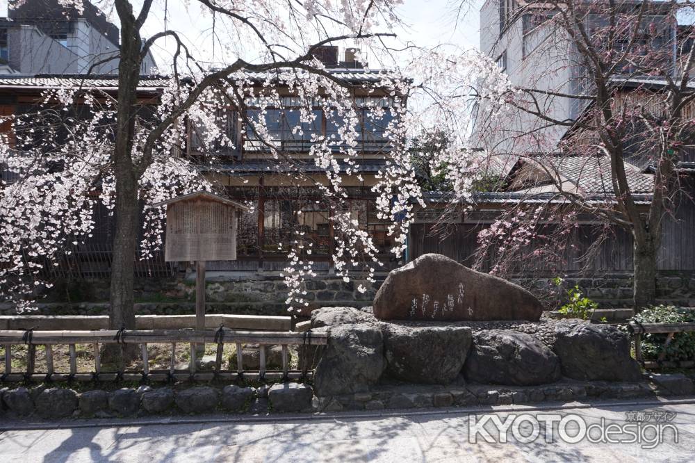 祇園白川　かにかくに碑としだれ桜