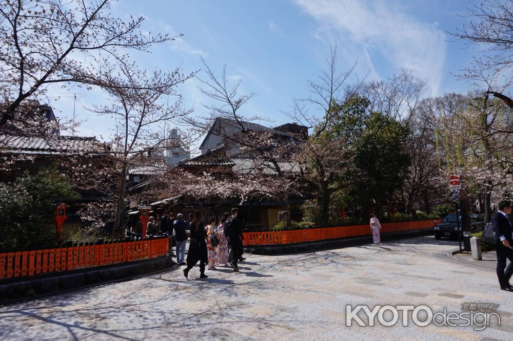 祇園白川　桜7