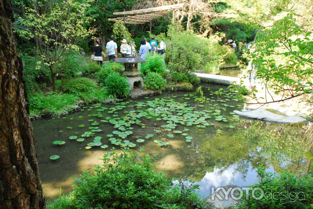 平安神宮南神苑