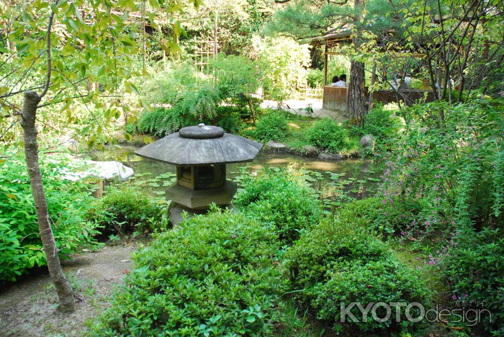 緑溢れる平安神宮の神苑