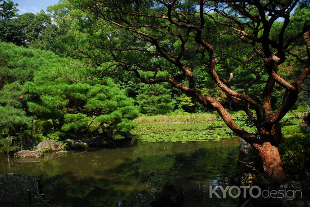 平安神宮の白虎池