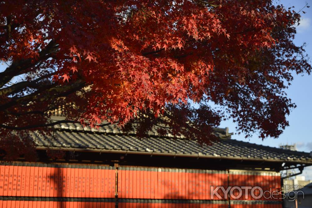 車折神社の紅葉3