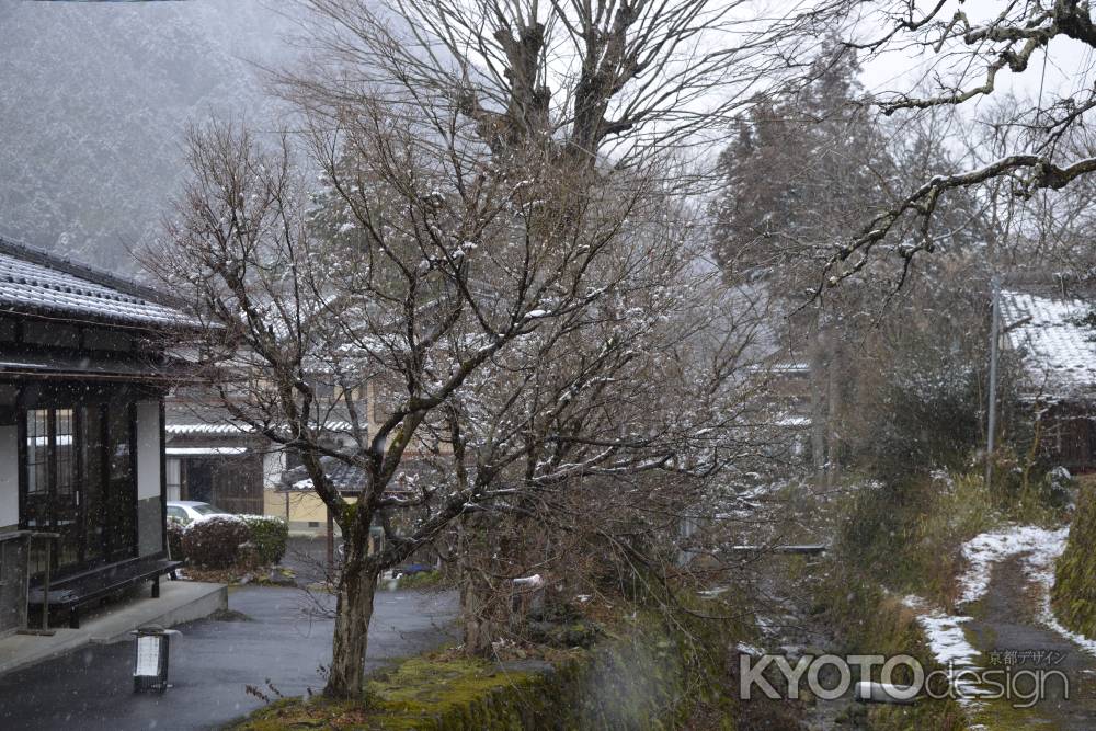 雪の参道と店