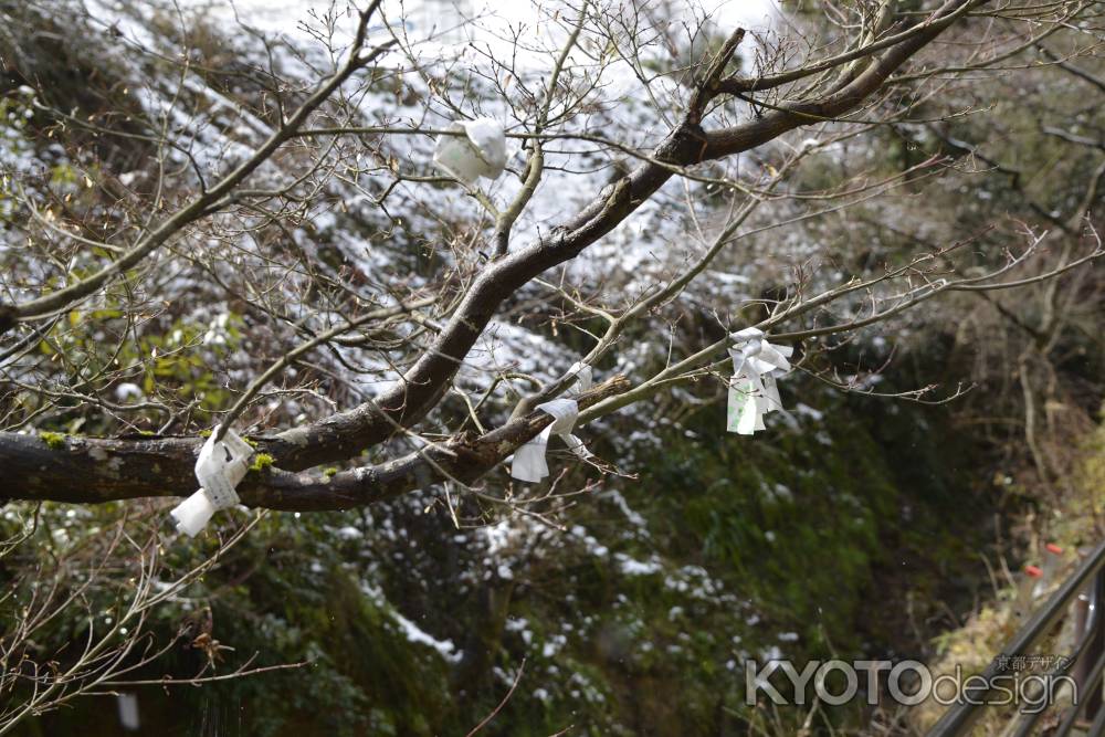 雪とおみくじ