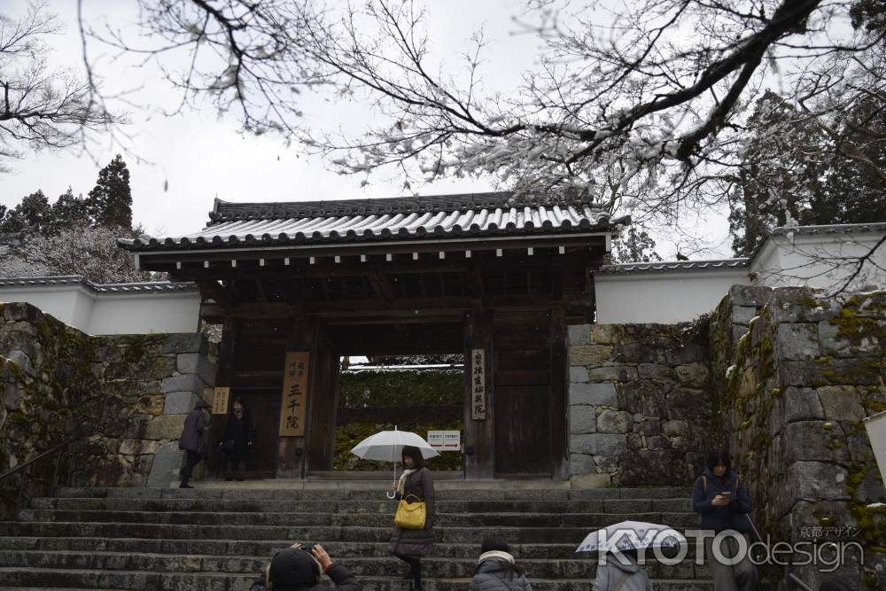 雪の三千院御殿門