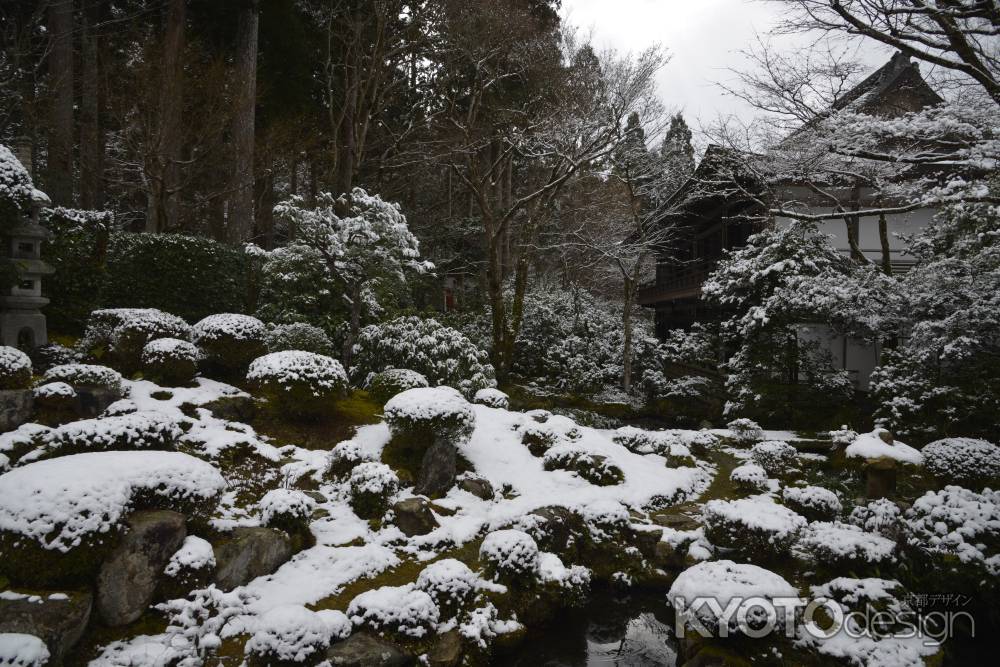 雪の庭園