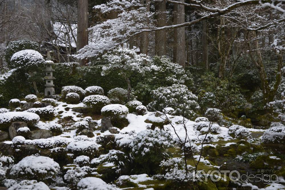 聚碧園 一面雪景色