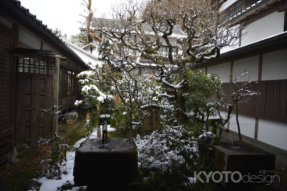 空に奇怪に伸びる枝先