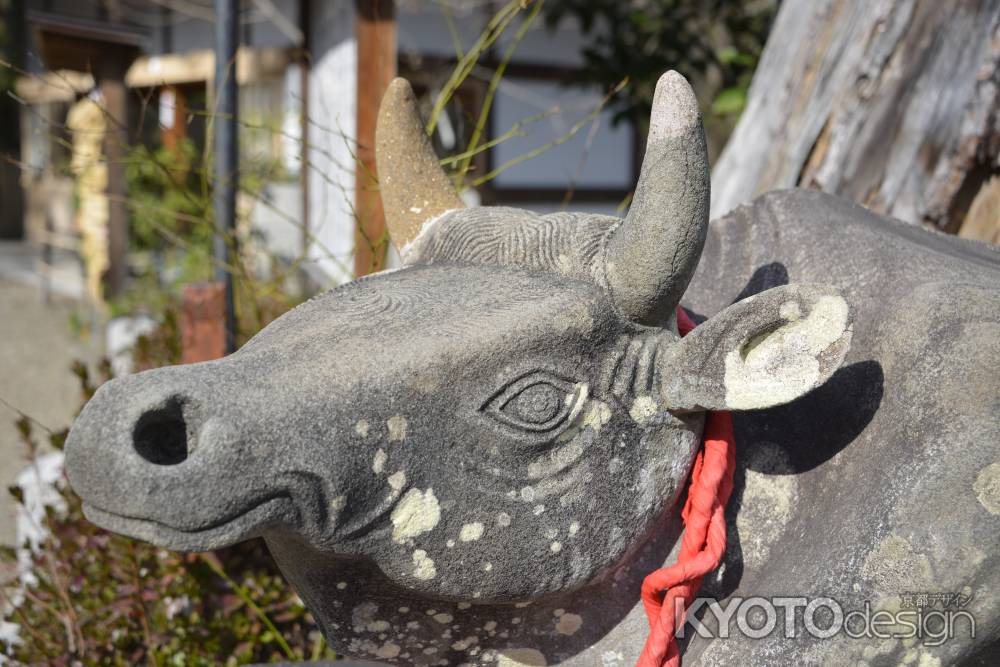 長岡天満宮の神牛