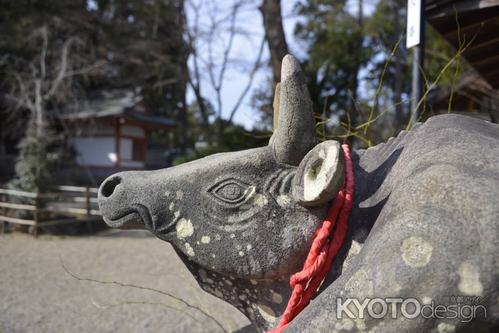 横顔のお牛様