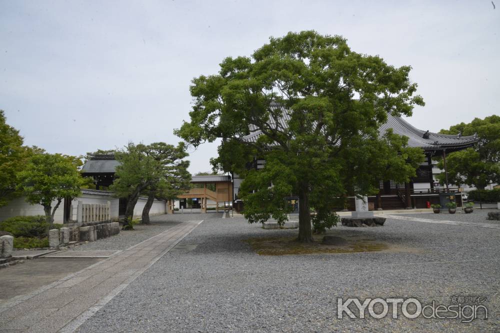 長年お寺を見守ってます