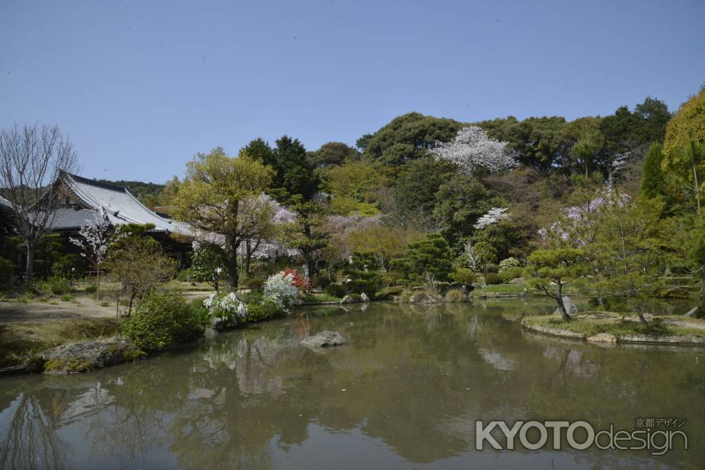 浄土式庭園の水面に映る