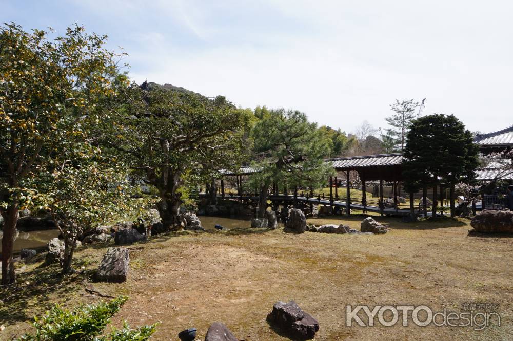 高台寺　庭に架かる回廊