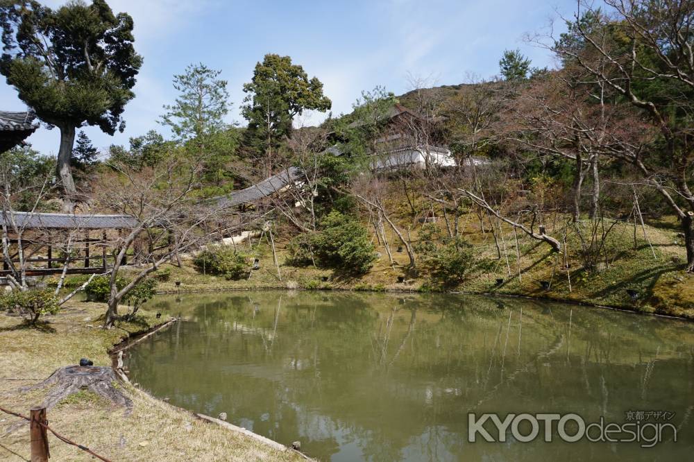 自然あふれる池泉庭園