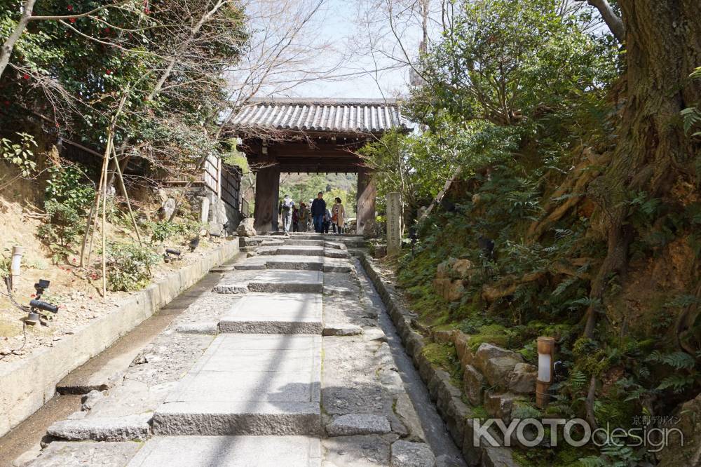 高台寺　台所坂