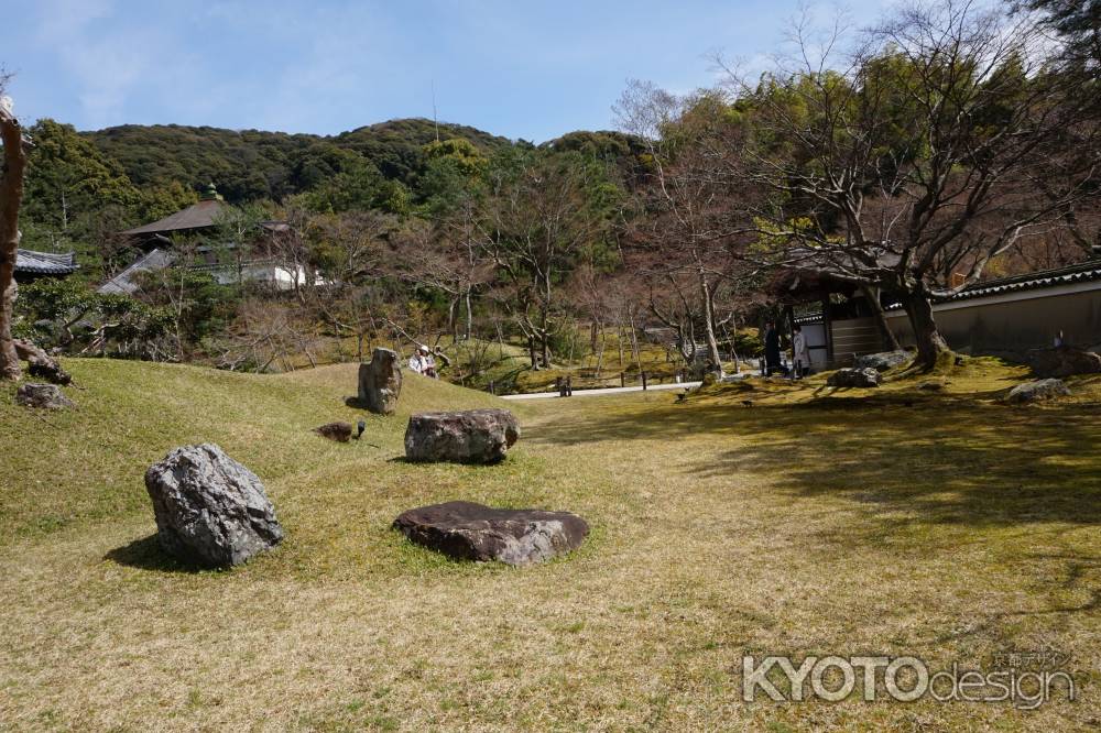 趣深い石の庭園