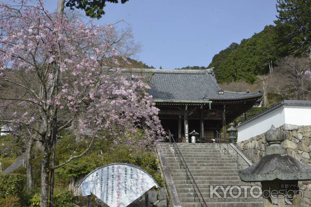 善峯寺　観音堂