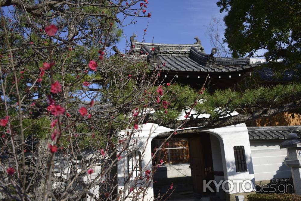 梅と法住寺