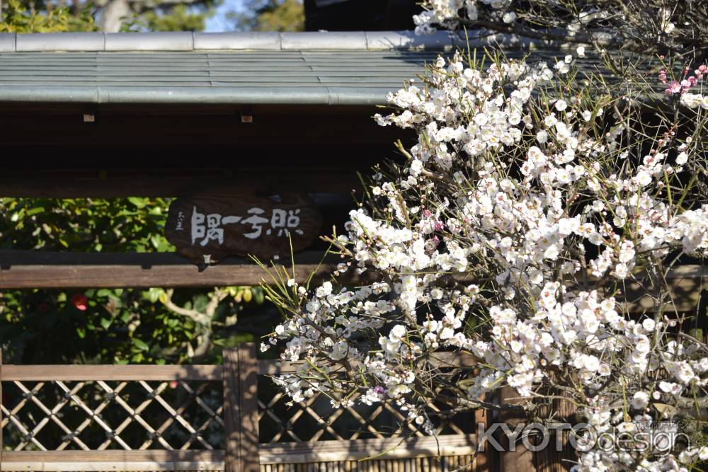 法住寺　照于一隅