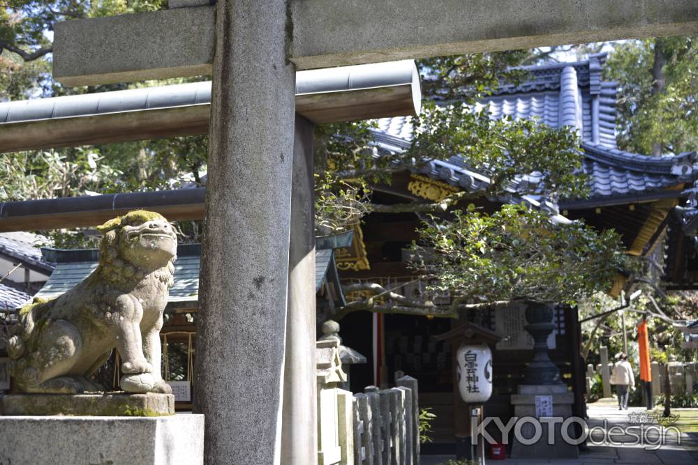 白雲神社　狛犬