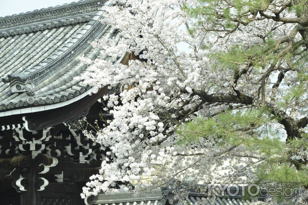 花に包まれる佛光寺