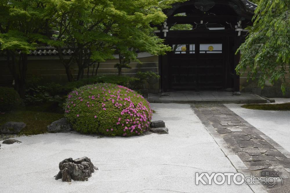 妙顕寺　枯山水の庭園