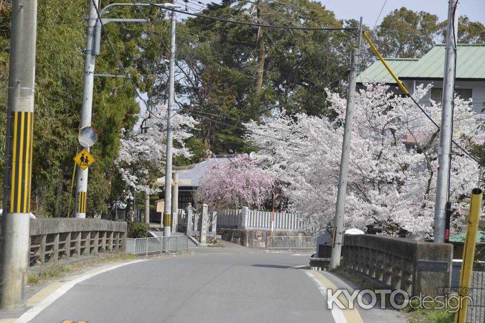 大歳神社へと続く道