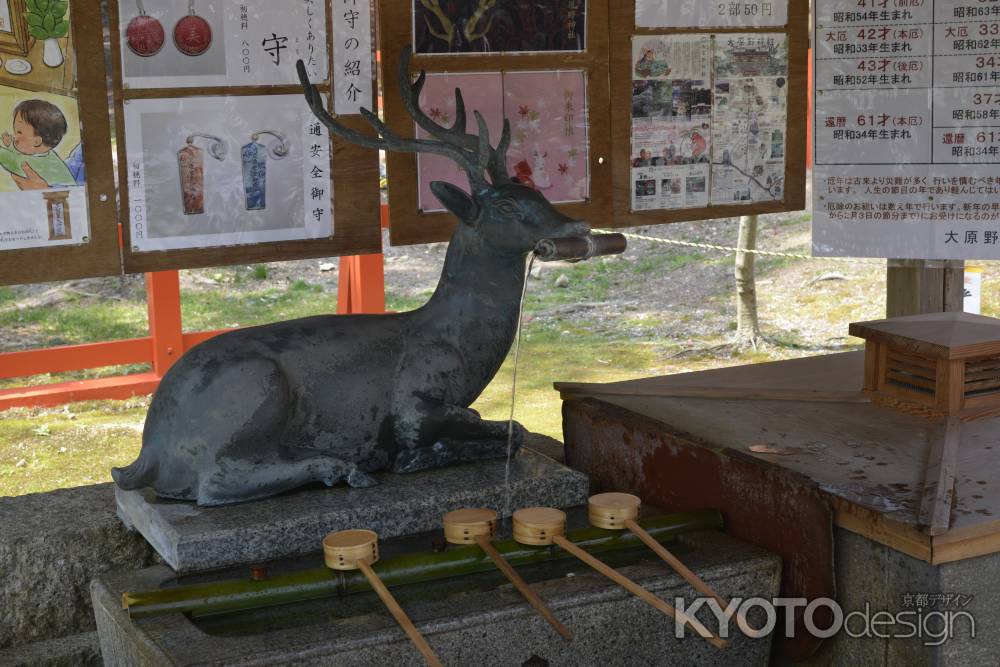 大原野神社　鹿の手水舎