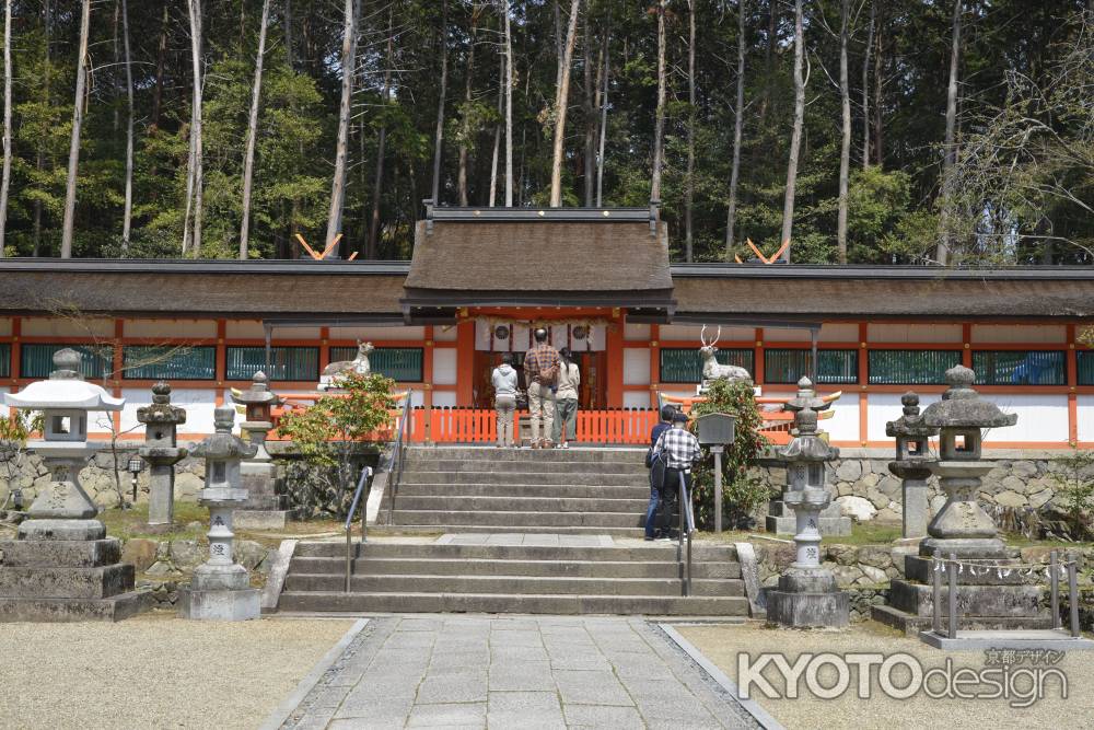 大原野神社　拝殿