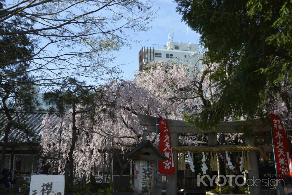 華やぐ境内　水火天満宮