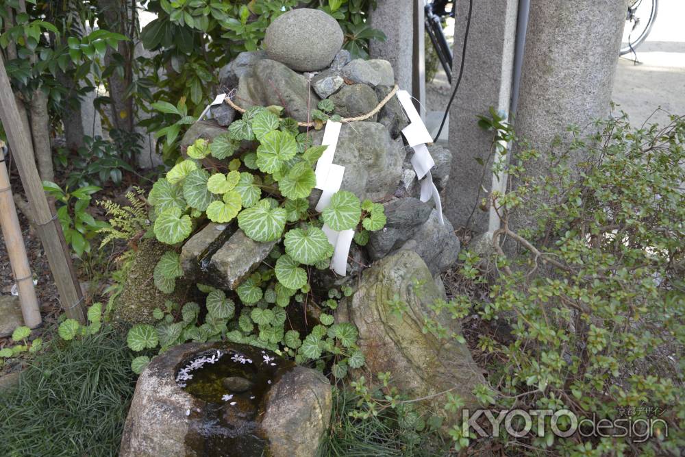 水火天満宮　金龍水