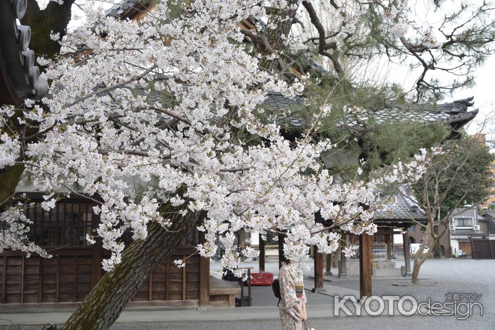 佛光寺　雅やかに