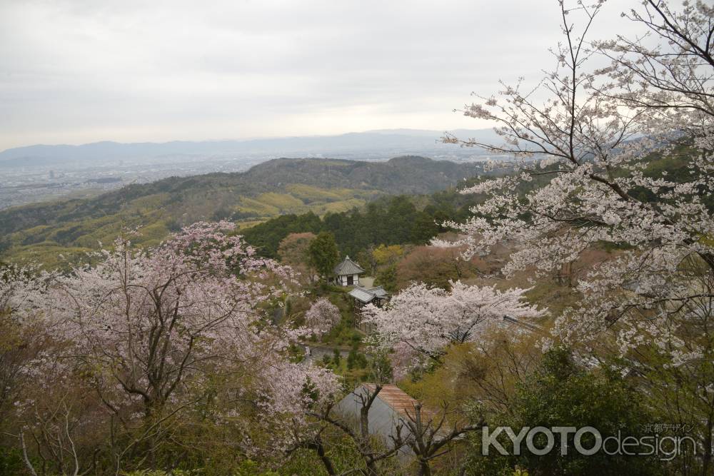 善峯寺　春を見下ろす