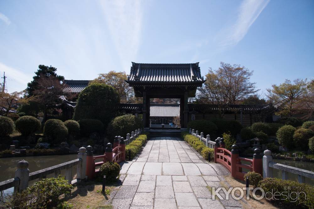 妙満寺　青空に山門