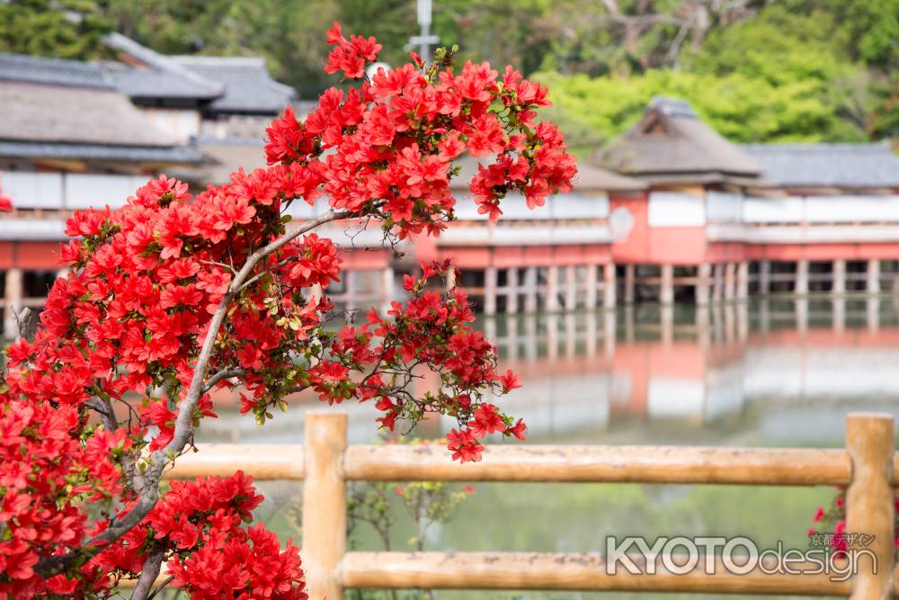 長岡天満宮　赤色高く