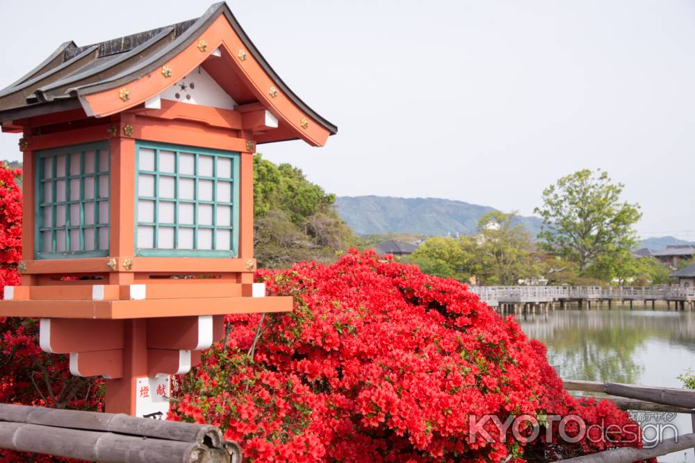 長岡天満宮　燈と赤