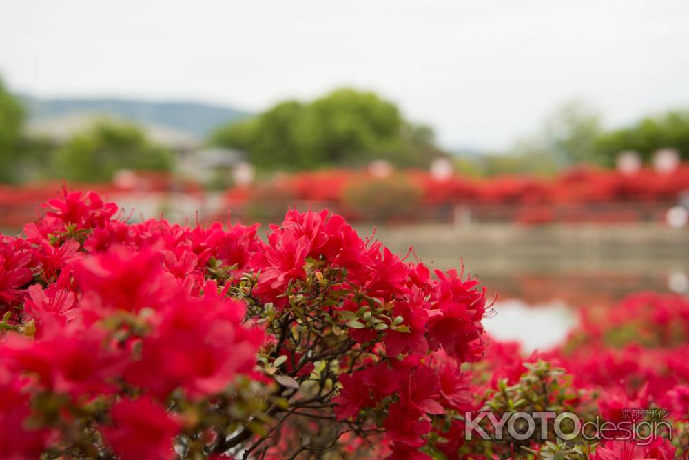 長岡天満宮　真紅