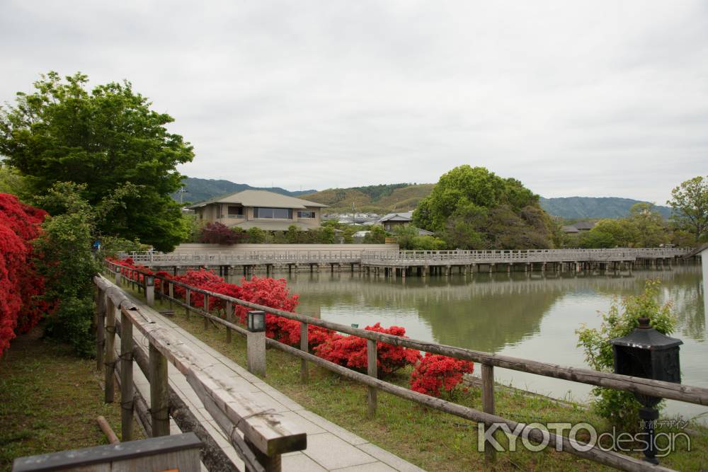 長岡天満宮　八条が池