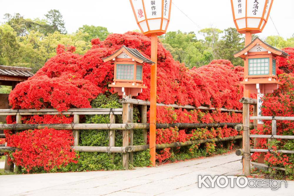 長岡天満宮　赤の燈篭