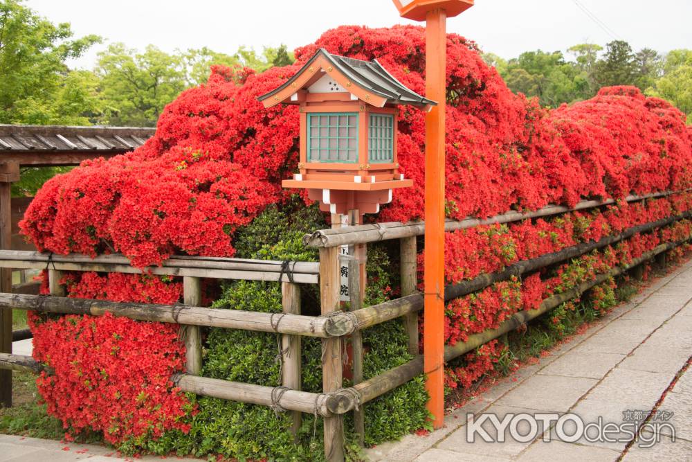 長岡天満宮　曲がり角