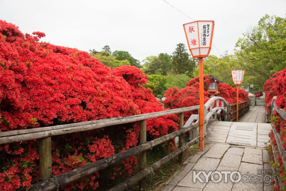 長岡天満宮　太鼓橋まで