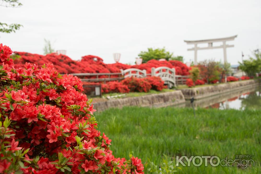 長岡天満宮　鳥居と太鼓橋