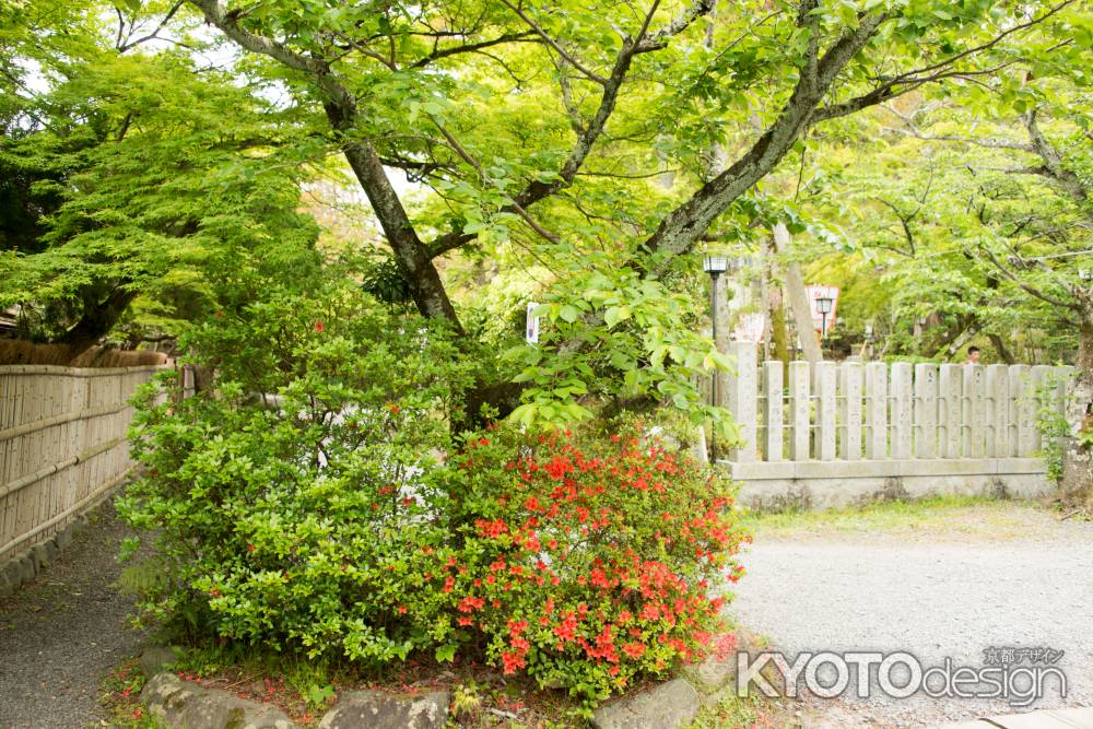 長岡天満宮　緑とアクセント