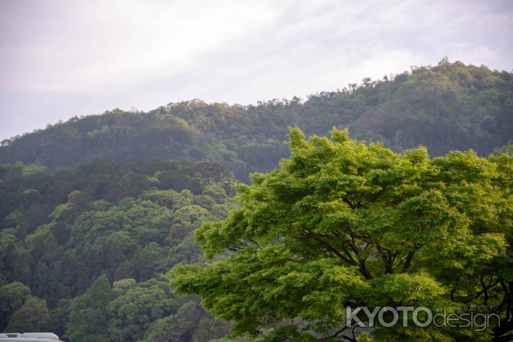 嵐山　街中から眺む