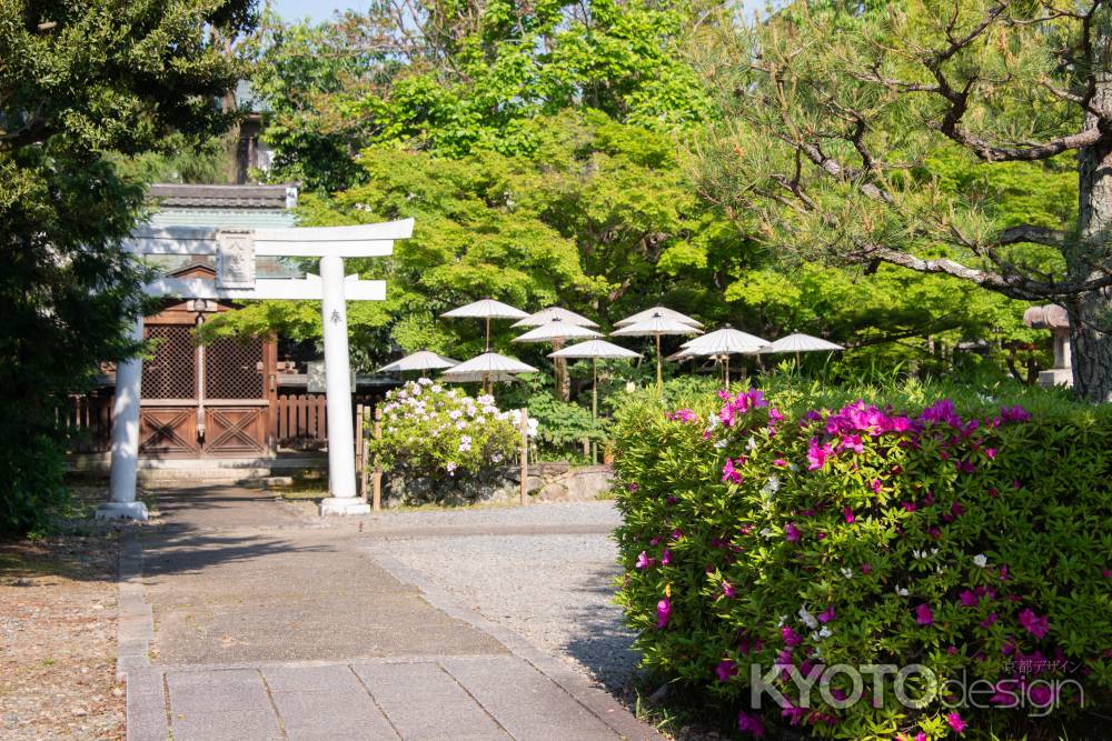 乙訓寺　鳥居と和傘