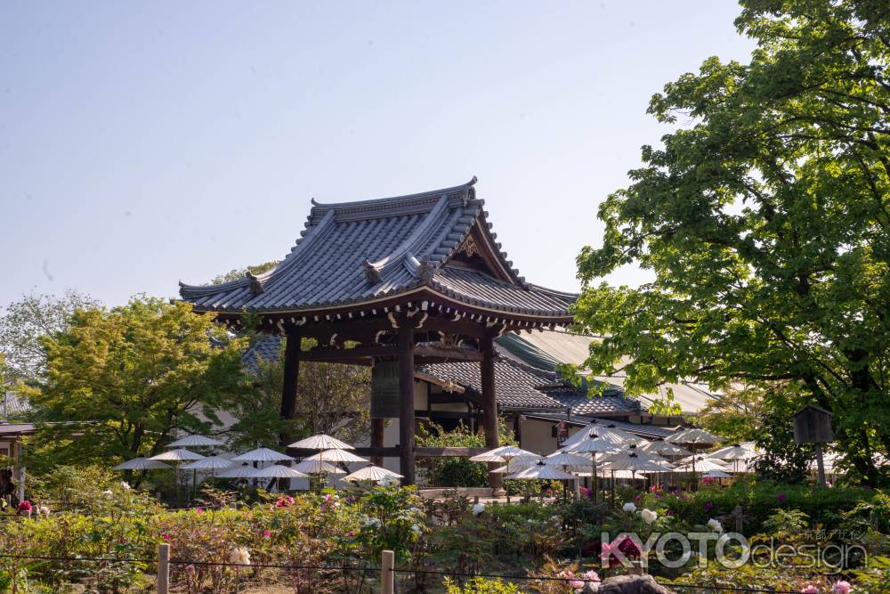 乙訓寺　鐘楼に浮かぶ傘