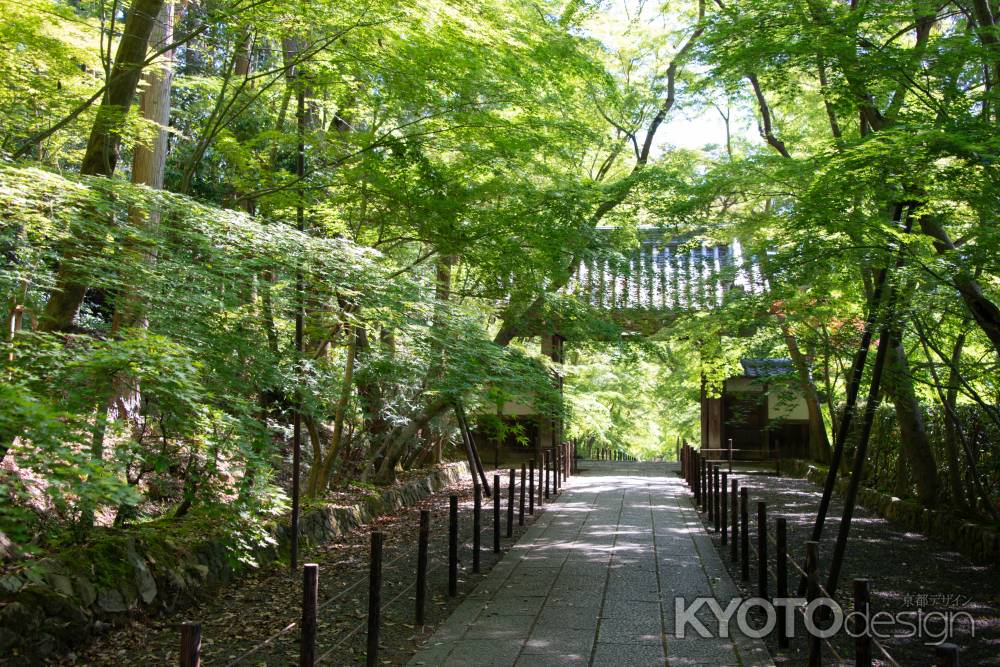 光明寺　薬医門まで