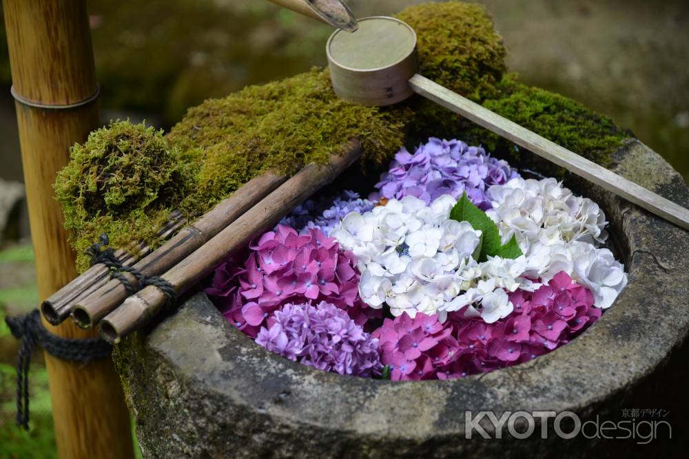 柳谷観音　苔むす花手水