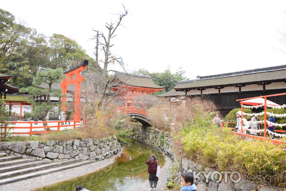 下鴨神社　御手洗池の眺め